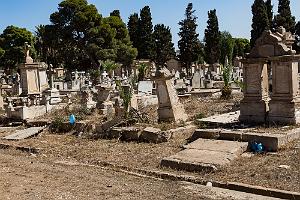Oranie 2017-492